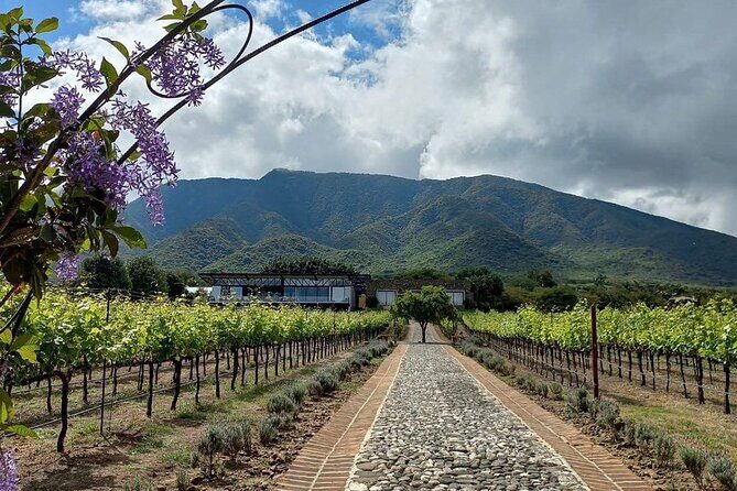 Full Day Tour in Finca Estramancia Vineyard with stop in Chapala - Authenticity and Unique Moments