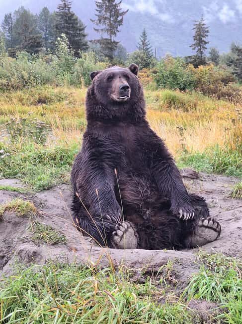 Full-day Tour in Turnagain - Why This Tour Offers Good Value