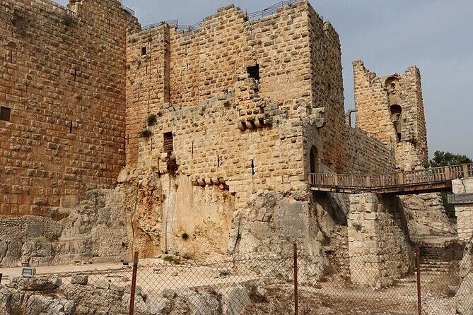 Full day Tour Jerash Ajloun and Um Qais from Amman - Who Should Consider This Tour?