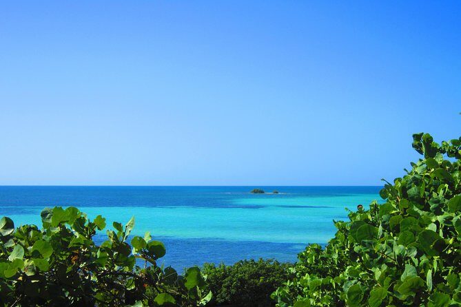 Full-Day Tour of Florida Keys Including Aquarium Encounters from Key West - The Sum Up