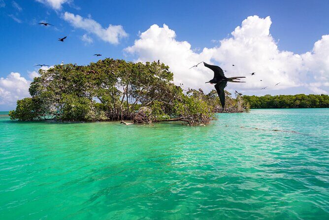 Full Day Tour of Isla Holbox and Isla Pasión with Cenote - What’s Included and What’s Not
