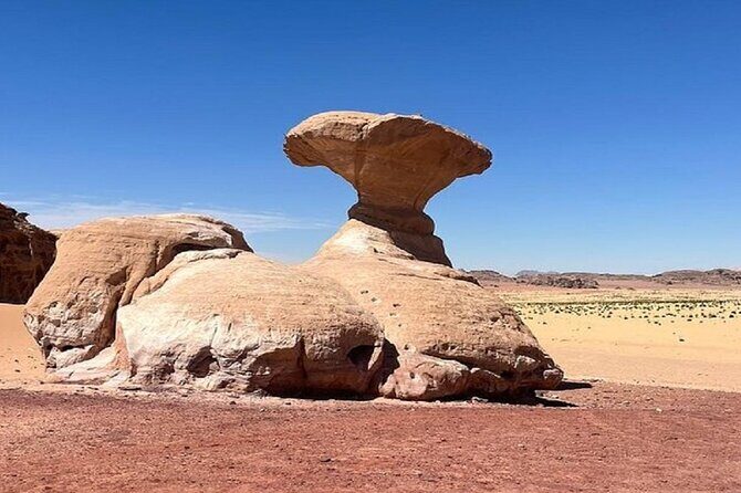 Full Day Tour Petra and Wadi Rum from Amman - Authenticity & Review Highlights