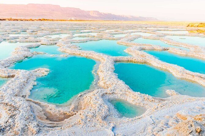 Full Day Tour to Amman City and Dead Sea - Detailed Breakdown of the Experience