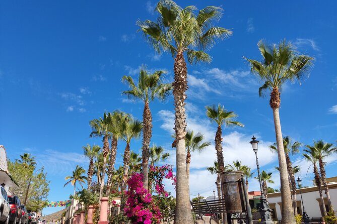 Full Day Tour to Balandra Beach, Todos Santos and La Paz - Practical Details and Value