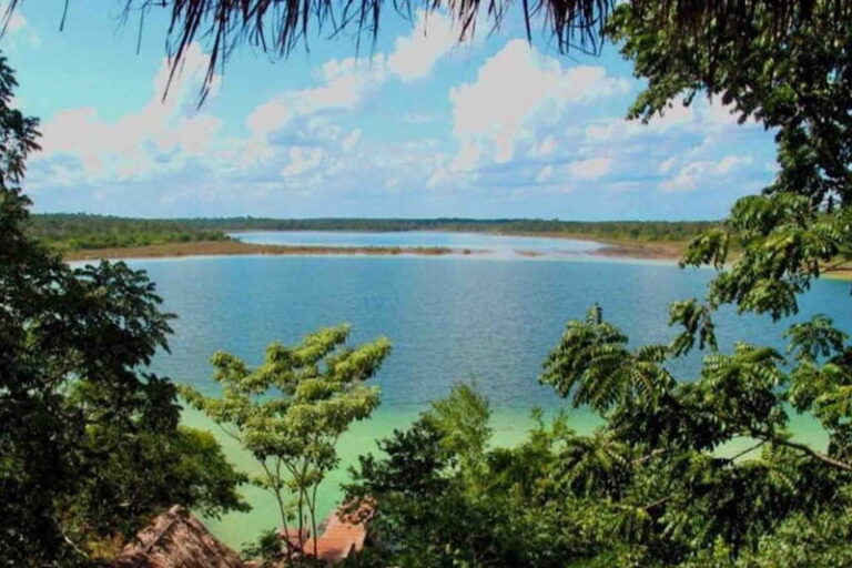 Full Day Tour to Cobá Ruins, Punta Laguna & Cenote - Authentic Experiences and What Travelers Say