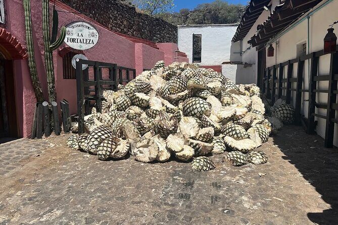 Full-Day Tour to La Fortaleza Distillery and Cantaritos - The Experience from Reviews