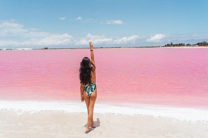 Full-Day Tour to Las Coloradas Pink Paradise in Yucatan and Rio Lagartos. - Who Would Love This Tour?