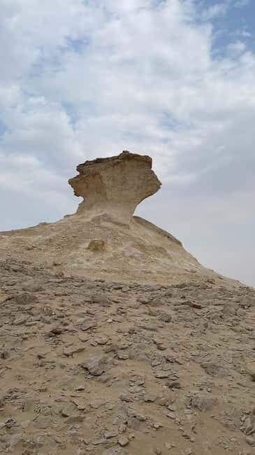 Full Day Tour to Qatar North And West With Pickup From Doha - Final Thoughts
