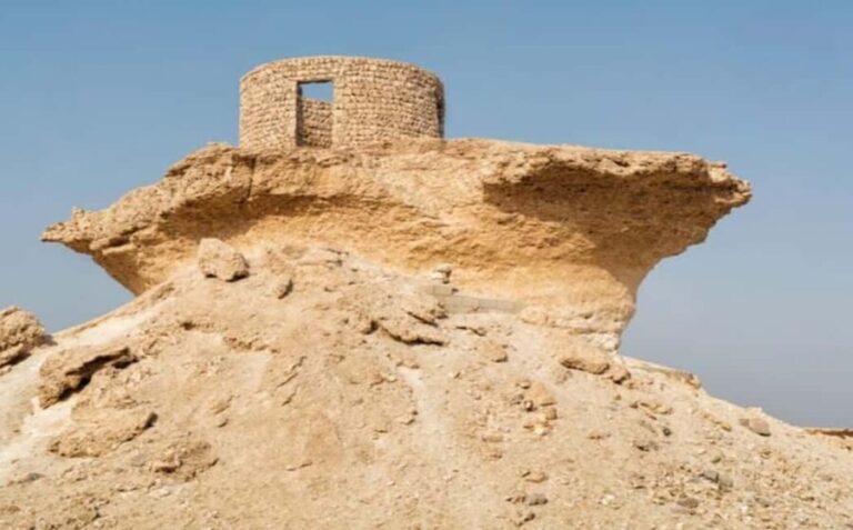 Full Day Tour to Qatar North And West With Pickup From Doha - The Value of This Tour