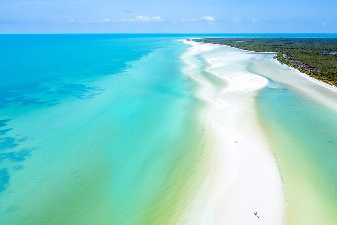 Full Day Tour to the Best of Holbox - What Travelers Say