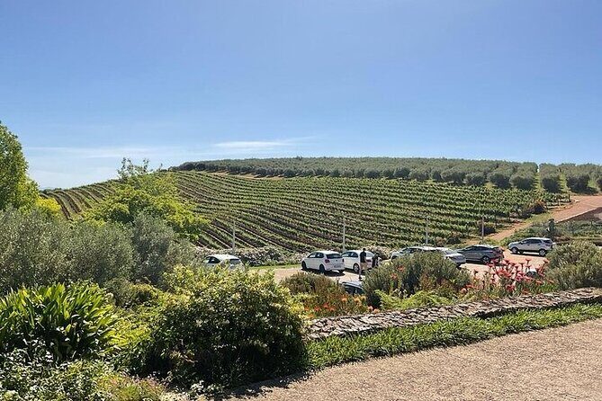 Full Day Tour to Wine Estates Stellenbosch, Franschhoek and Paarl - Practical Details