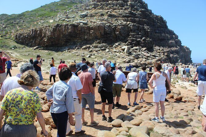 Full Day visit to Cape Point Cape of Good Hope for Special needs from Cape Town - Why This Tour Offers Great Value