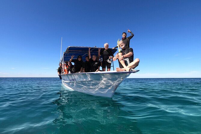 Full-Day Whale Shark Snorkeling Adventure with Beach Lunch - Why This Tour Offers Great Value