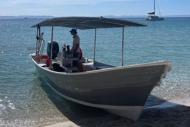 Full Day Wildlife Expedition in the Sea of Cortez - Practical Considerations
