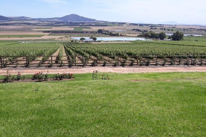 Full Day Wine Tasting in Stellenbosch, Franschoek & Paarl fees included - What Travelers Can Expect: The Practicalities