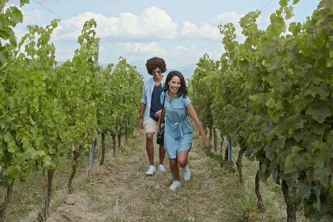 Full-Day Wine, Whiskey & Beer Tour w/ Lunch Pairing - Authentic Experiences & Authenticity