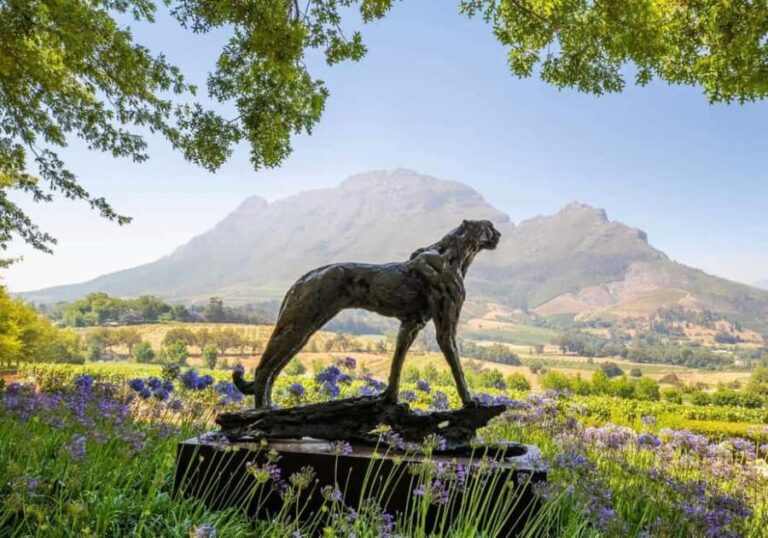 Full Day Winelands Tour With Wine Tasting from Cape Town - What to Keep in Mind