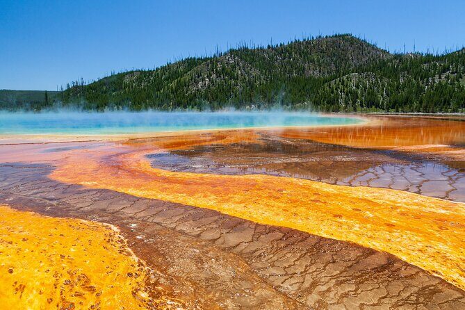 Full Day Yellowstone Nat'l Park Tour from Big Sky - Private Tour - Who Will Love This Tour?