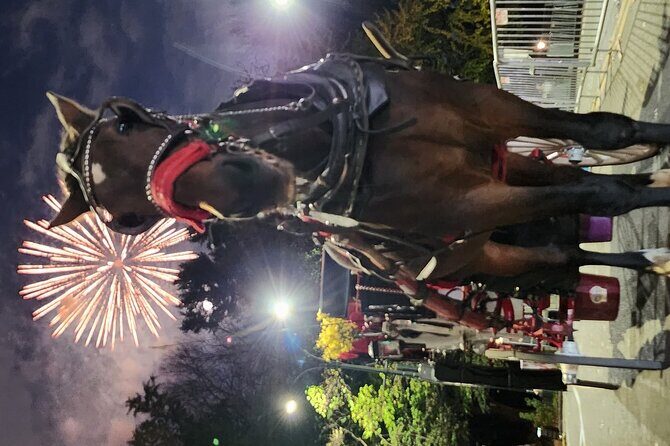 Full loop Private Horse Carriage Ride in Central Park 45 Minutes - The Itinerary: What to Expect