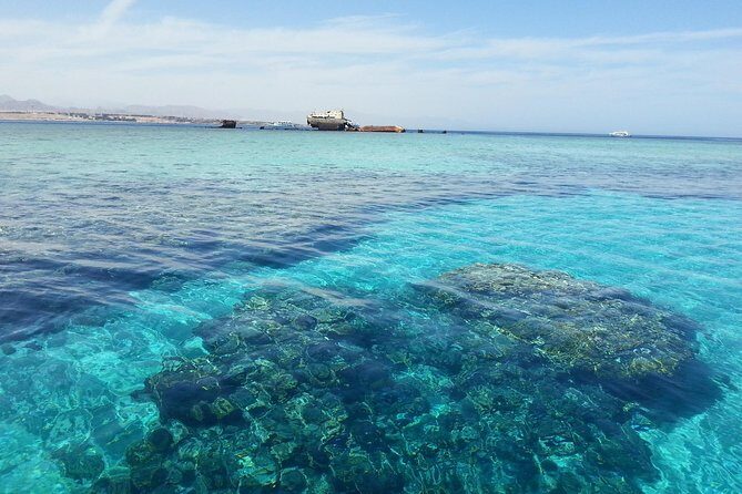 Full Relaxing Day To The Red Sea From Cairo Or Giza Hotel - The Experience: What Travelers Say