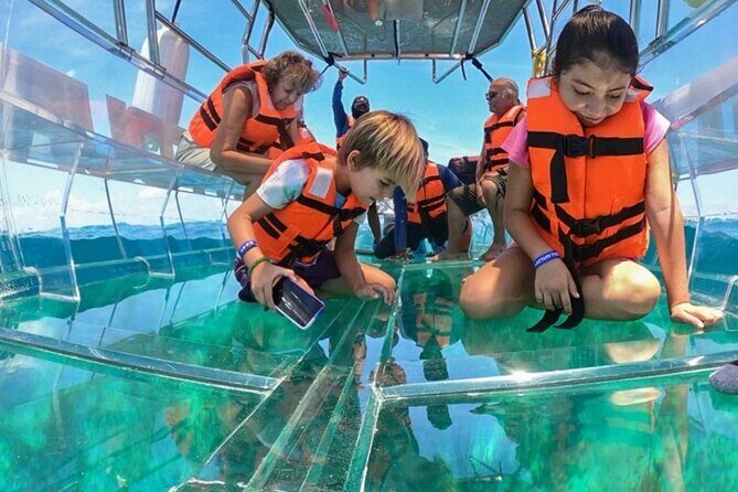 Fully Transparent Boat Tour in Los Cabos - Who Should Consider This Tour?