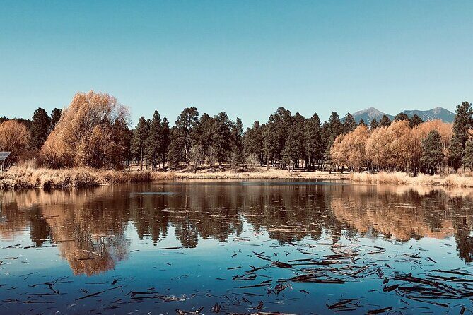 Fun Flagstaff History Segway Tour - Authentic Experiences from Reviews