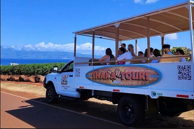 Fun! Open-Air Banyan Tree Forest & Blowhole Sight-Seeing MauiTour - The Value of a Breezy, Open-Air Experience