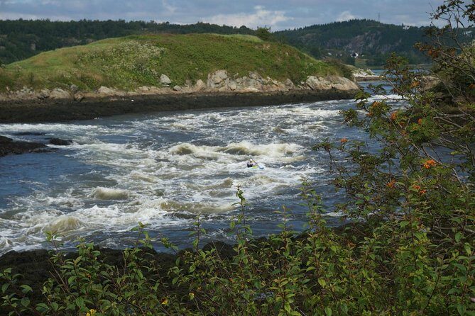 Fundy Coast to Fundy Shore Tour - Transportation and Accessibility