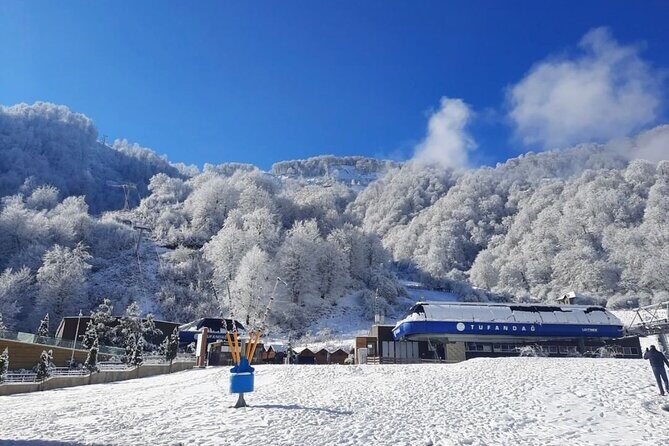 Gabala Private Tour - Authentic Experiences and Traveler Feedback