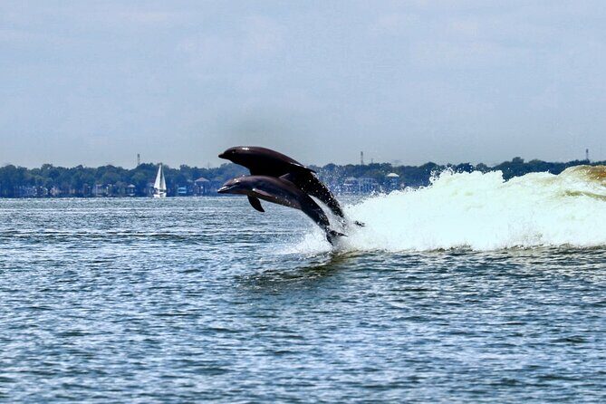 Galveston Day Tour from Houston - What to Expect on the Tour