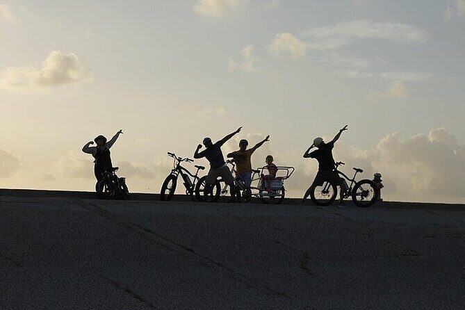 Galveston Island Art & Mural E-Bike Tour - The Value of a Guided Murals Tour