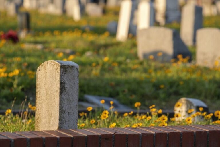 Galveston: Old City Cemetery Walking Tour with Local Guide - Who Should Consider This Tour?