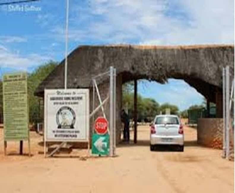 Game Drive and Gaborone City Tour - Discovering Gaborone Game Reserve: A Closer Look
