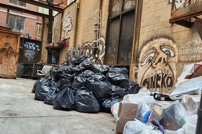 Garbage and Rats in New York City Walking Tour - The Sum Up