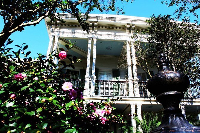 Garden District Walking Tour of New Orleans - The Tour Experience: What You Can Expect