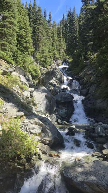 Garibaldi Park: Garibaldi Lake Hiking Tour - What Makes This Tour Stand Out