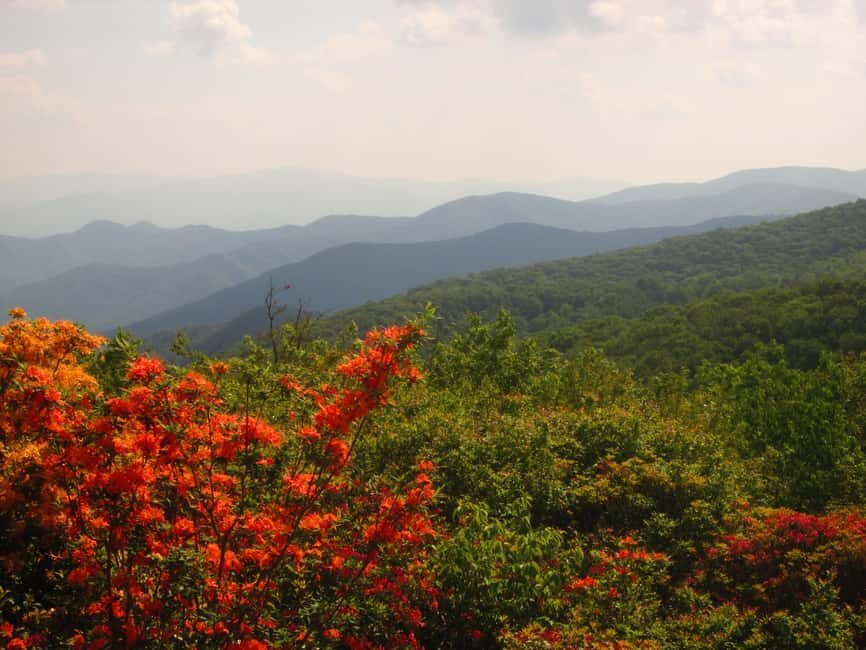 Gatlinburg: Smoky Mountain Appalachian Bald Guided Hike - Why This Tour Offers Great Value