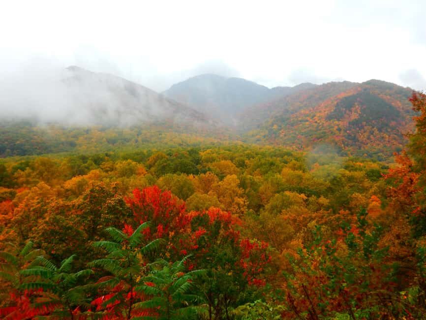 Gatlinburg: Smoky Mountains Fall Foliage Guided Tour - The Real Value of the Tour