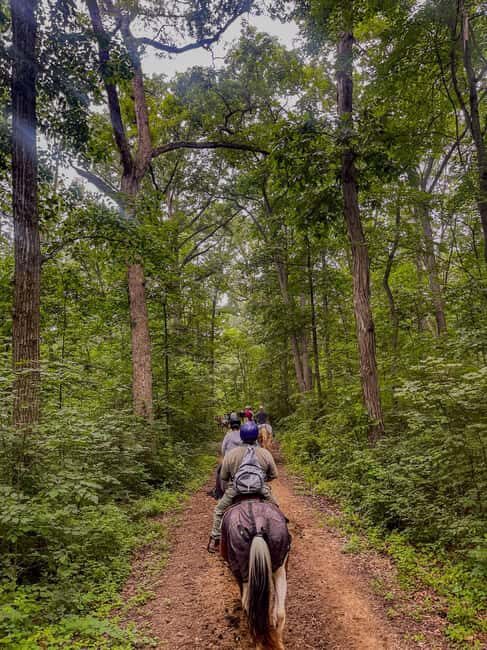 Gettysburg: 2 Hour Scenic Horseback Ride - The Experience: What You Can Expect