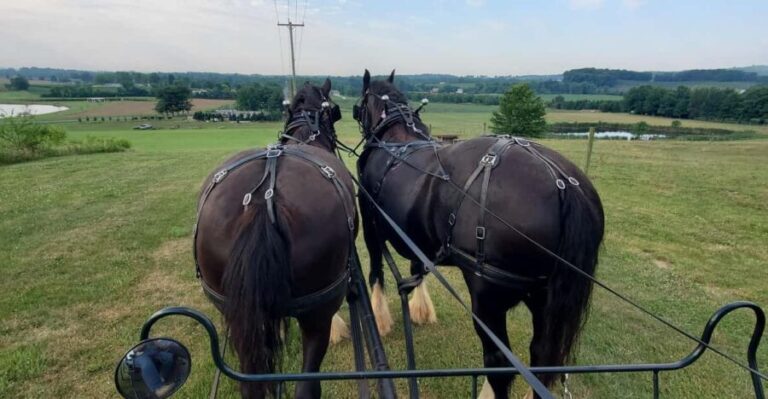 Gettysburg: Horse-Drawn Carriage Tour Countryside & Orchards - What the Reviews Tell Us