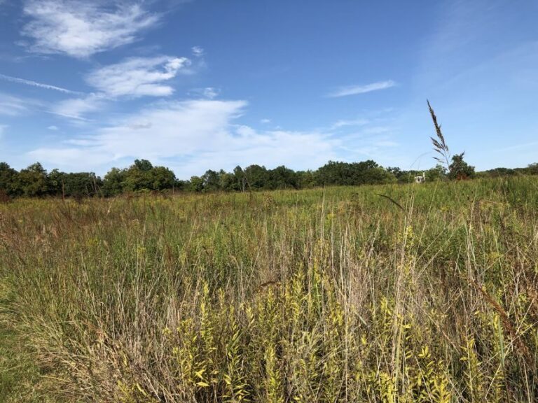 Gettysburg: The Wonder Women's Hidden Valor Walking Tour - Key Points