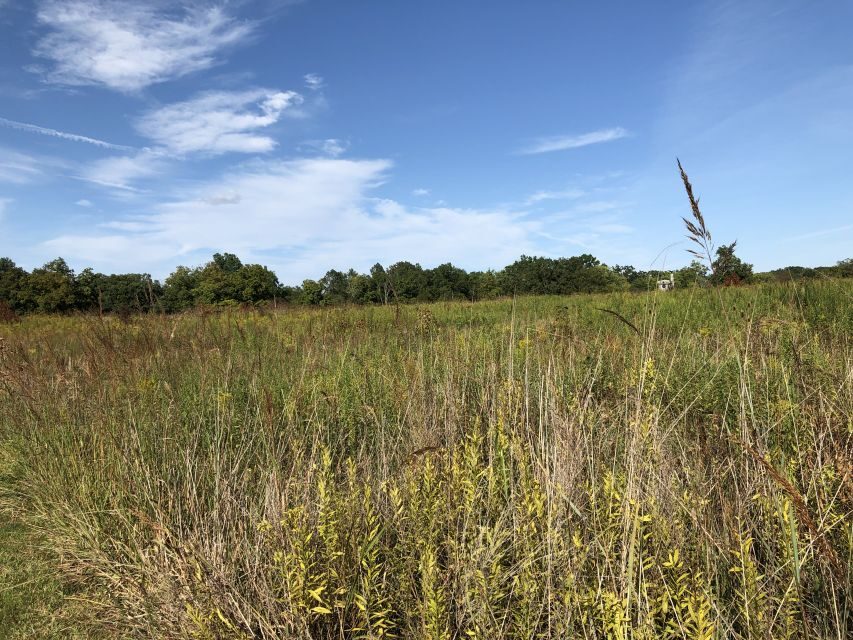 Gettysburg: The Wonder Women's Hidden Valor Walking Tour - Key Points