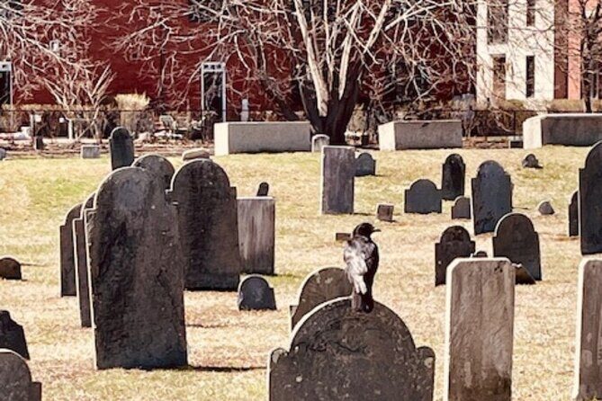 Ghostly Tales of Salem Walking Tour - Authentic Insights from Past Participants