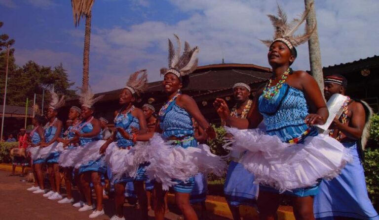 Giraffe Center, Elephant Orphanage and Bomas of Kenya Tour - The Value Proposition