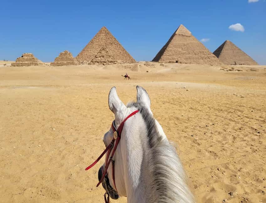 Giza: Half-Day Giza Pyramids and Sphinx Private Tour - An Overview of the Tour: What to Expect