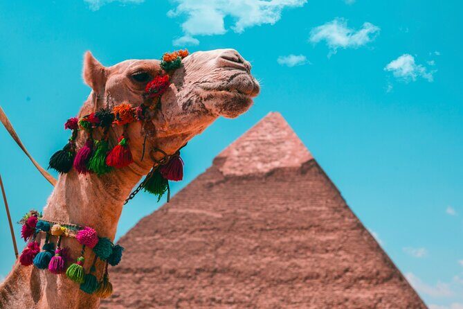 Giza, The National Museum and Khan El Khalili Private Day tour - A Closer Look at the Itinerary