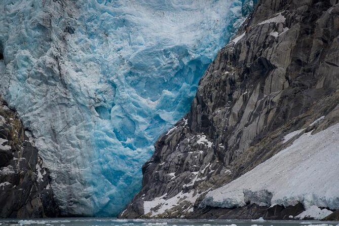 Glacier & Wildlife Discovery Tour - What Makes This Tour Stand Out