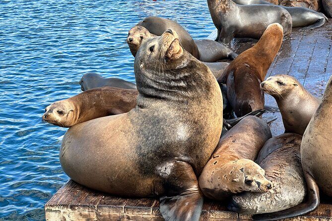 Glass Bottom Boat Ride in Redondo Beach - Practical Details and Considerations