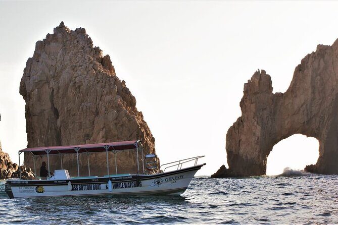 Glass Bottom Boat Sightseeing Tour in Cabo San Lucas - Who Would Love This Tour?