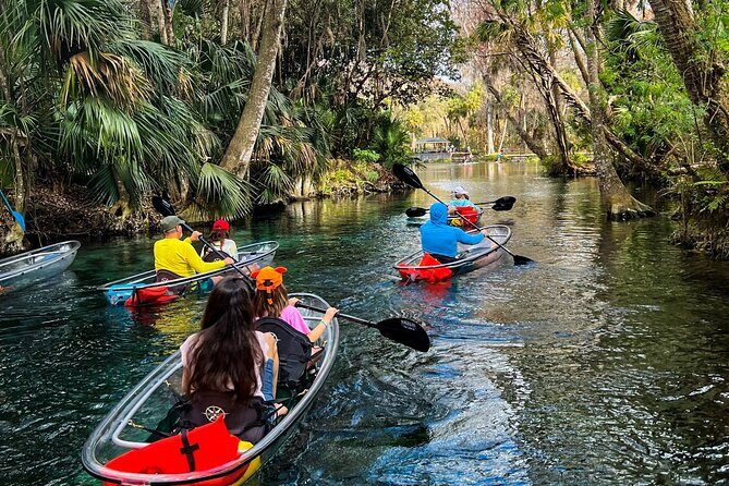 Glass Bottom Kayak Tours of Silver Springs - The Sum Up